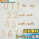 【送料無料】Promise Babe 月齢フォト ニューボーンフォト ベビーマンスリーカード 19枚セット ウッド 天然木材 記念 写真道具 撮影アイテム 成長...