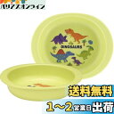 スケーター(Skater) ベビー食器 小皿 子供用 5ヵ月頃~ 抗菌 プラスチック製 290ml ディノサウルス ピクチャー XP25AG-A