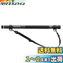 ダイワ(DAIWA) 玉の柄 ランディングポール2 600