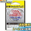 DUEL(デュエル) フロロライン 1号 クイックリーダー 1号 スナ...(2)