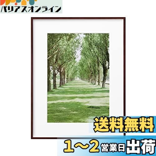 ϥ HAKUBA  ۱ ZEROե졼 G-01 A3 ֥饦 FZG01-A3BR