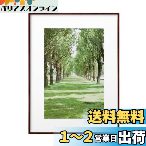 ϥ HAKUBA  ۱ ZEROե졼 G-01 A3Υ ֥饦 FZG01-A3NBR
