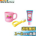 パイロットコーポレーション(PILOT CORPORATION) メルちゃん おせわパーツ はみがきセット (NEW)