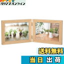 【送料無料】ハクバ HAKUBA 木製 フォトフレーム テリア3 2Lサイズ 2面 ヨコ ナチュラル FWTR3-NT2L2Y