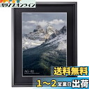 ハクバ HAKUBA 額縁 アルミ AG-02 A4 スタンド付 ブラック FAG2-BKA4