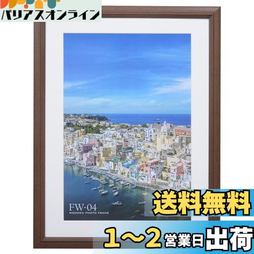ϥ HAKUBA ۱ FW-04 磻4 ֥饦 FW-4-BRW4