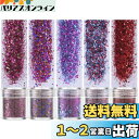 Kingsie グリッター 容器入り キラキラ ネイルパーツ ネイルアート ラメグリッター ラメパウダー 顔/ボディ/ヘア飾り クリスマス/パーティー 5個セット (レッド 5個セット)