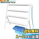 【送料無料】LAPOND 水耕栽培キット 室内水耕栽培 中型水耕栽セット 野菜栽培セット タイマー/自動施肥/給水 循環式ポンプ LEDライトで栽培可能 家庭菜...