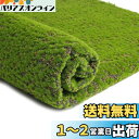 WINOMO 人工観葉植物 モスマット 人工芝 壁マット 苔 造花 インテリア DIY 室内室外 ガーデン装飾 ナチュラル・モスマット・ロール 100x100cm(カラーポイント)