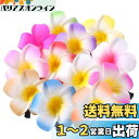 Frcolor お花 ヘアピン ヘアクリップ 花 プルメリア花 ヘアアクセサリー ヘアクリップ ハワイ 髪飾り ヘッドドレス 6cm 12色 24個セット
