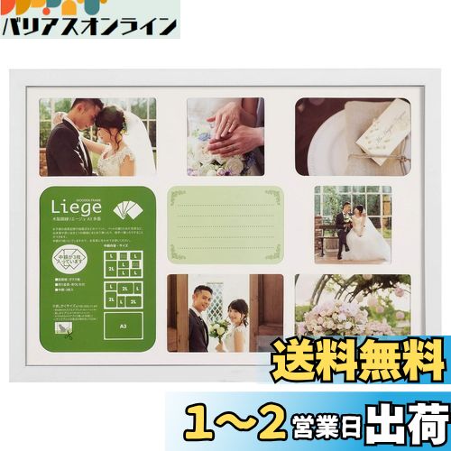 ϥ HAKUBA եȥե졼 ꥨ  A3 ¿̥  ۥ磻 FWLGC-WTA3T