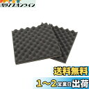 【.co.jp限定】エーモン(amon) 音楽計画 スピーカー背面制振吸音材 約195×195mm 厚さ約25mm 2枚入 (デッドニング用)4956