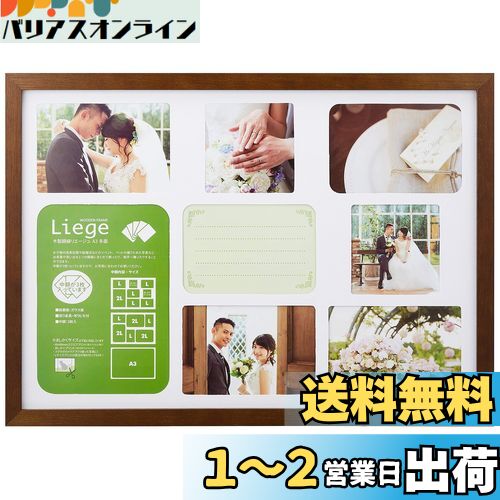 ϥ HAKUBA եȥե졼 ꥨ  A3 ¿̥  ֥饦 FWLGC-BRA3T