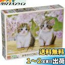 エポック社 300ピース ジグソーパズル いきもの/ペット ねこ おすわりこねこにゃん (26×38cm) 25-183 のり付き ヘラ付き 点数券付き EPOCH