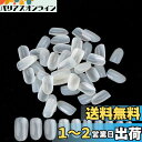 Kingsie ネイルチップ 600枚セット 10種のサイズ オーバル 短い つけ爪 無地 偽爪 ジェルネイル ネイル用品 ネイルアート diy 練習用 プロ 初心者 (ベージュ)