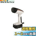 ティファール パワフル連続スチーム 平均約13g/分 衣類スチーマー 専用モデル 「アクセススチーム ポケット」 立ち上がり約15秒 スチームアイロン DT3030J0