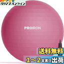 PROIRON バランスボール 65cm レッド ハンドポンプ付き 運動不足の解消