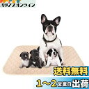 ULIGOTA ペットシーツ 洗える 猫 犬用 おしっこパッド ペット用 トイレ下敷きマット 速乾 洗える ポリエステル 大判サイズ 多頭飼いに最適(ベージュX...
