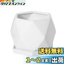 Ekirlin 陶器鉢 植木鉢 白 おしゃれ 観葉植物 皿付き プランター 鉢 底穴付き 部屋 飾りプランター インテリア シンプル 15cm ホワイト