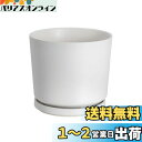Ekirlin 植木鉢 陶器鉢 大型 9号 24cm 受け皿付き 穴付き おしゃれ 白 鉢 プランター 鉢植え インテリア 部屋 飾り 観葉植物