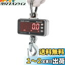 Bonvoisin クレーンスケール デジタル吊りはかり 1000kg 吊秤 吊り下げ 工場 八百屋 埠頭 コンパクト 日本語マニュアル付き 電池別売り