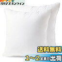 クッション 中身 45×45cm 2個セット 綿100%側生地 綿を贅沢に詰め込み 中綿増量15% 潰れない ソファークッション ヌードクッション 洗える 抗菌...