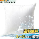 【.co.jp 限定】Phantoscope クッション 中身 45×45cm 単品 中空シリコン化 抗菌防臭 洗える 柔らかい ヌードクッション 撥水加工 防水 ボリューム感 屋外 ホテル仕様 回弾性良く 高反発