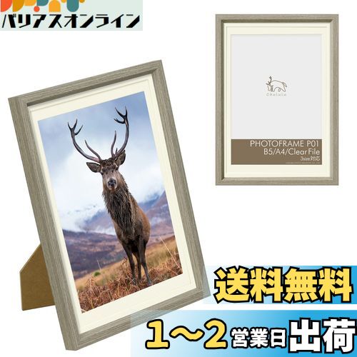 ϥ HAKUBA ۱ Chululu()եȥե졼 P01 B5/A4/ꥢե륵 ١ FCHL-P0...