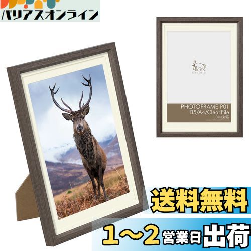 ϥ HAKUBA ۱ Chululu()եȥե졼 P01 B5/A4/ꥢե륵 ֥饦 FCHL-P0...