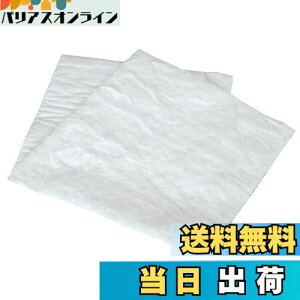 【送料無料】【.co.jp限定】エーモン(amon) 音楽計画 吸音材 フロア用(13mm厚) 約500×1000mm 4809