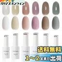 ジェルネイル Coikaze カラージェル ネイルカラー ネイルアート シアカラージェル UV・LED対応 6色入り 10ml