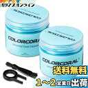 COLORCORAL スライム型クリーナー 隙間のお掃除用粘着クリーナー 手にべたつかず 繰り返し使える 掃除用スライム キーボード PC 車内など簡単お掃除 2缶セット 藍