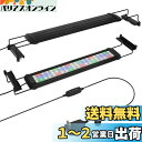 水槽 ライト タイマー付き LEDライト60個 四色 3つの照明モード 明るさ調整 水槽照明 アクアリウムライト 45-60cm水槽用 スライド式 防水 観賞魚飼育 水草育成 省エネ(ブラック, 11W)