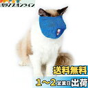 RICISUNG 猫用マスク ペット口輪 猫用 爪切り 耳掃除 目隠し 噛みつき防止 拾い食い防止 爪切り補助用 キャットマズル 猫用マスク 猫 お風呂 暴れる猫ちゃん用 (M, 青)