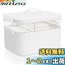 LAMPTOP 薬箱 救急箱 おしゃれ 大容量 2層 仕切り セパレートタイプかわいい 薬収納 薬入れ 小物入れ 医療箱 裁縫箱 応急ボックス 収納ケース 家庭用 会社用 旅行用 車載用 災害用 白 (Large)