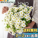 siawadeky 造花 花束 デイジー 4束 80輪花 人工観葉植物 菊 生花みたい DIY 装飾的な花 飾り 写真撮影 贈り物 開店祝い 誕生日 お見舞い ...