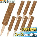 RILIHII【8本/セット】支柱 園芸 植物支柱 園芸支柱 つる性植物 観葉植物 ココナッツ支柱 長さ30cm 植物サポート 頑丈 耐久 支柱 モンステラ フ...