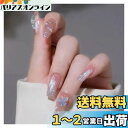 【送料無料】ALLMIRA ネイルチップ ロング 24枚入 ピンク 成人式 冬 韓国 つけ爪 青 長さだし おしゃれ 人気 つけづめ キラキラ 付け爪 シンプル 青系(薄青氷透蝶)