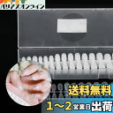 【送料無料】Annhua 透明 ネイルチップセット 270枚 超薄 艶消 ネイルチップ バレリーナ ショート クリアチップ サンディング不要 ネイル長さだしチップ ジェルネイル クリア 付け爪 ネイルチップ練習 ネイル用品 収納ケース付き