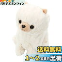 セガトイズ(SEGA TOYS) ココさかだちして Premium ポメラニアン