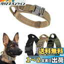 ALLMIRA 犬 首輪 ナイロン製 調整可能 ハンドル付き 訓練 首輪 中型犬 大型犬 くびわ 散歩 戦術訓練 メタルDリング犬 ガス透過内層 マジックテープ固定 突出防止 ペット用品 ミリタリー (カーキ, L)