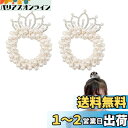 nalaina ヘアゴム 王冠 輪ゴム【2個セット】パールヘアゴム リングゴム 髪ゴム 高弾性 おしゃれ 可愛い 少女 髪飾り ファッション 小物 写真撮影 発...