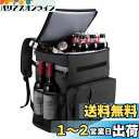 MILPROX 保冷 保温バッグ 25L クーラーバッグ リュック型 防水 折りたたみ 保温 保冷エコバッグ ソフトクーラーボックス お弁当箱 ランチバッグ 運動会 部活 観戦 ピクニック アウトドア キャンピング