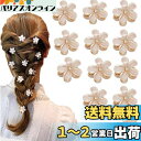 nalaina ヘアクリップ 【12個セット】バンスクリップ 髪飾り 髪留めミニ ヘアアクセサリー レディース ヘアクリップ ヘアピンまんまるお花 可愛い