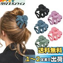 Lolalet ヘアクリップ 5個 大きめ ヘアクロー シンプル おしゃれ 大人 ヘアアレンジ 髪留め