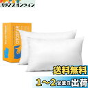 Otostar クッション 中身 30x50cm 2個セット ヌードクッション 柔らかい ふわふわ フワフワ 長方形 ロング インナー なかみ 中材 本体 ファ...