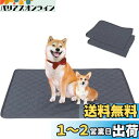 洗えるペットシーツ Toyuxe ペットシーツ 洗える 2枚セット 滑り止め 犬シーツワイド おしっこシート ペット ペットシーツ 消臭 ペット シーツ 洗える...