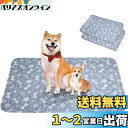 洗えるペットシーツ Toyuxe ペットシーツ 洗える 2枚セット 滑り止め 犬シーツワイド おしっこシート ペット ペットシーツ 消臭 ペット シーツ 洗える...