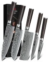 XINZUO 5ピースダマスカスキッチンナイフセット、Nakiri ナイフ スライシング 鍛造ダマスカスナイフプロのシェフナイフカトラリー 三徳 ナイフ Pak...