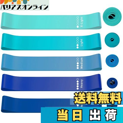 【送料無料】roseddy トレーニングチューブ ゴムバンド 筋トレ ゴムチューブ 天然ラテックス ゴムバンド チューブ トレーニング 5本セット 自宅 筋トレ ゴム バンド 美尻 トレーニングバンド リハビリ ゴムバンド ストレッチバンド（青）